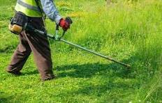 kosenje dvorista kuce